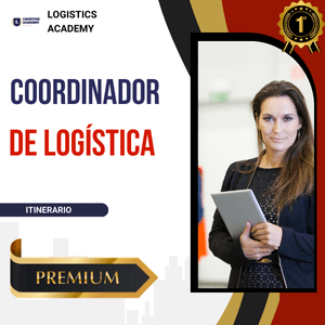 DIRECTOR DE LOGÍSTICA